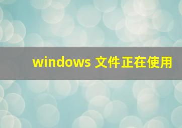 windows 文件正在使用